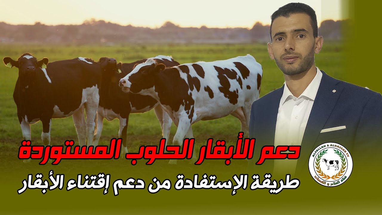 طريقة الاستفادة من دعم اقتناء الأبقار الحلوب المستوردة من الخارج.