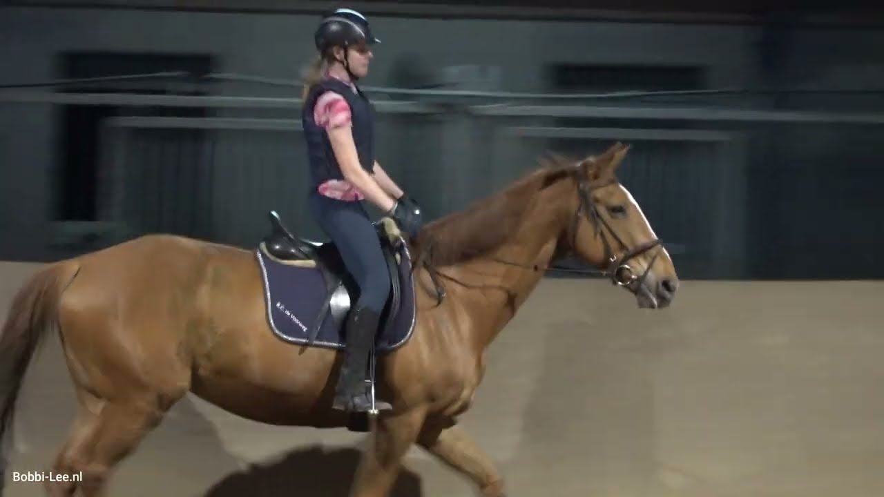 Yes, weer een PAARDRIJVIDEO. Ik ga RIJDEN op FLAIR en Eeke op CHICA.Heb er WEER ZIN IN. #paard #4031