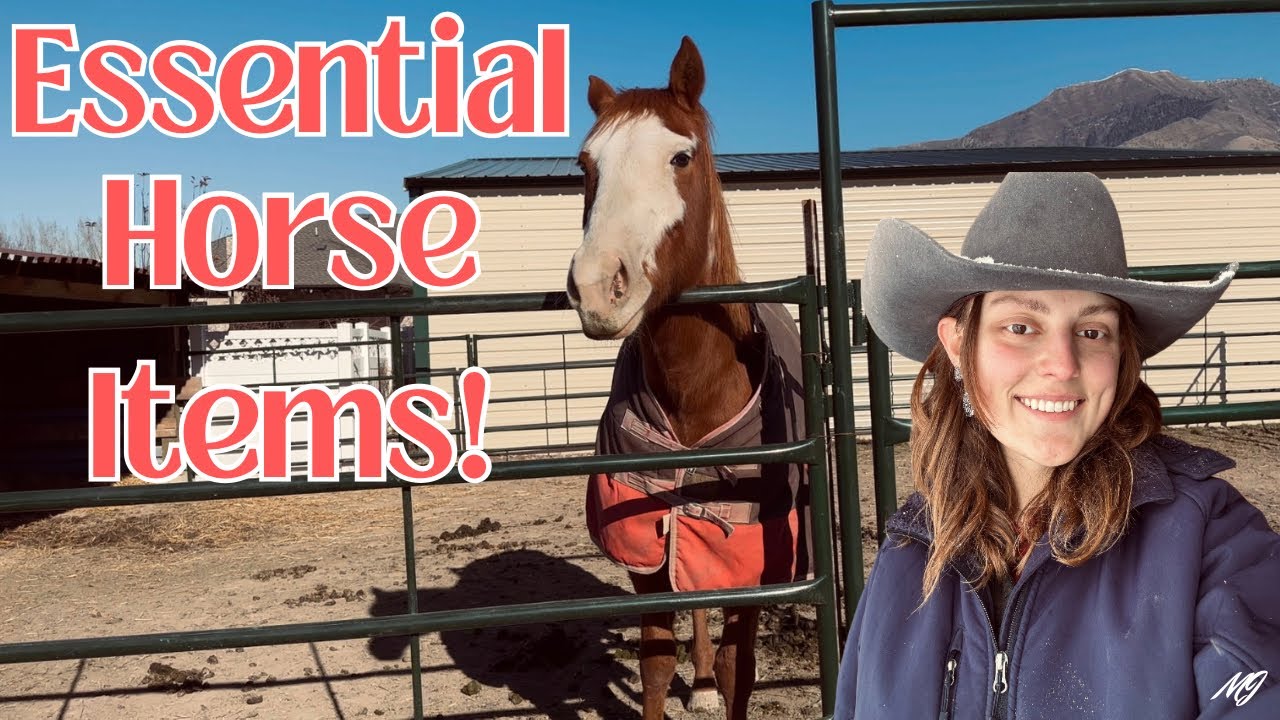 ESSENTIAL Horse Items You NEED!! 🌵 *tack, feed, training equipment.