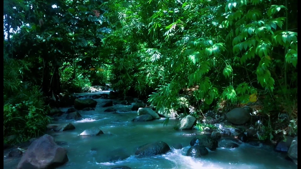 Relaxing River Sound emotional therapy to relieve stress and mental disorders for sleeping.