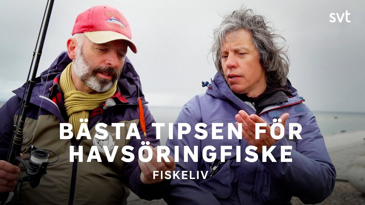 Så lyckas du med havsöringfisket | Fiskeliv | SVT
