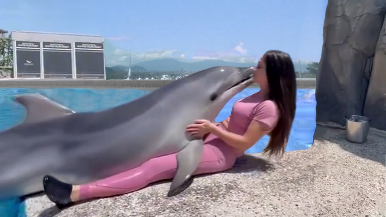 35 momentos emotivos de reencuentros con animales