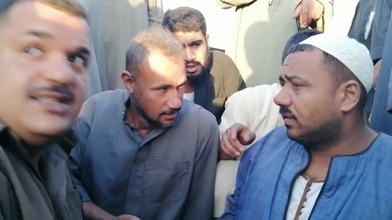 اسعار البقر الوالد اليوم من سوق الثلاثاء بالزقازيق بتاريخ ٨ أكتوبر ٢٠٢٤