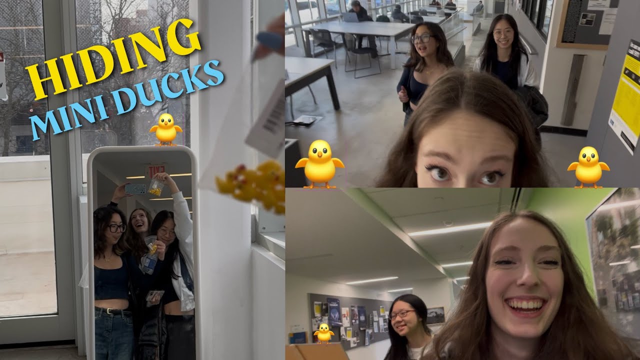 HIDING MINI DUCKS around my school | Michaela Hughes