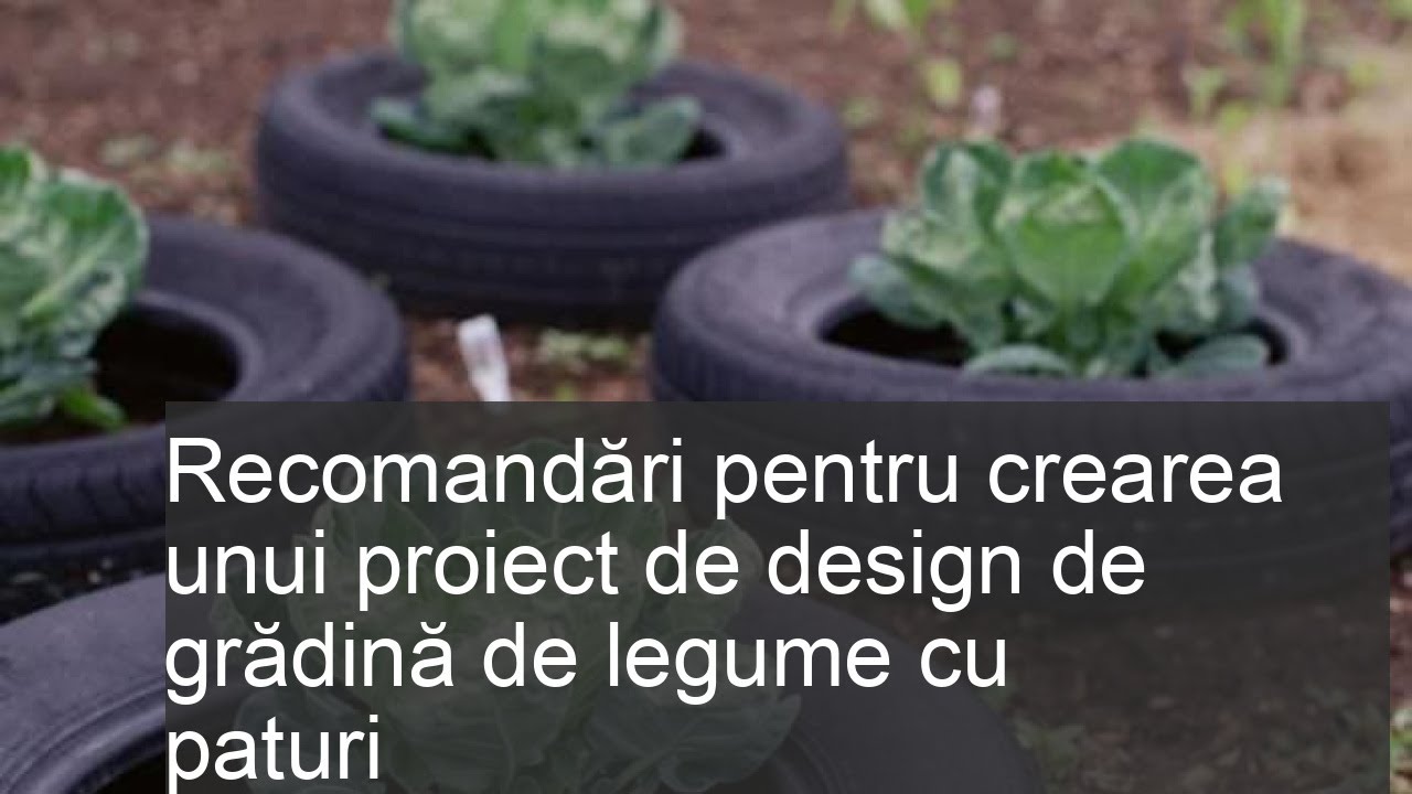 Grădină de legume frumoasă cu paturi cu propriile mâini: 75 de opțiuni de design