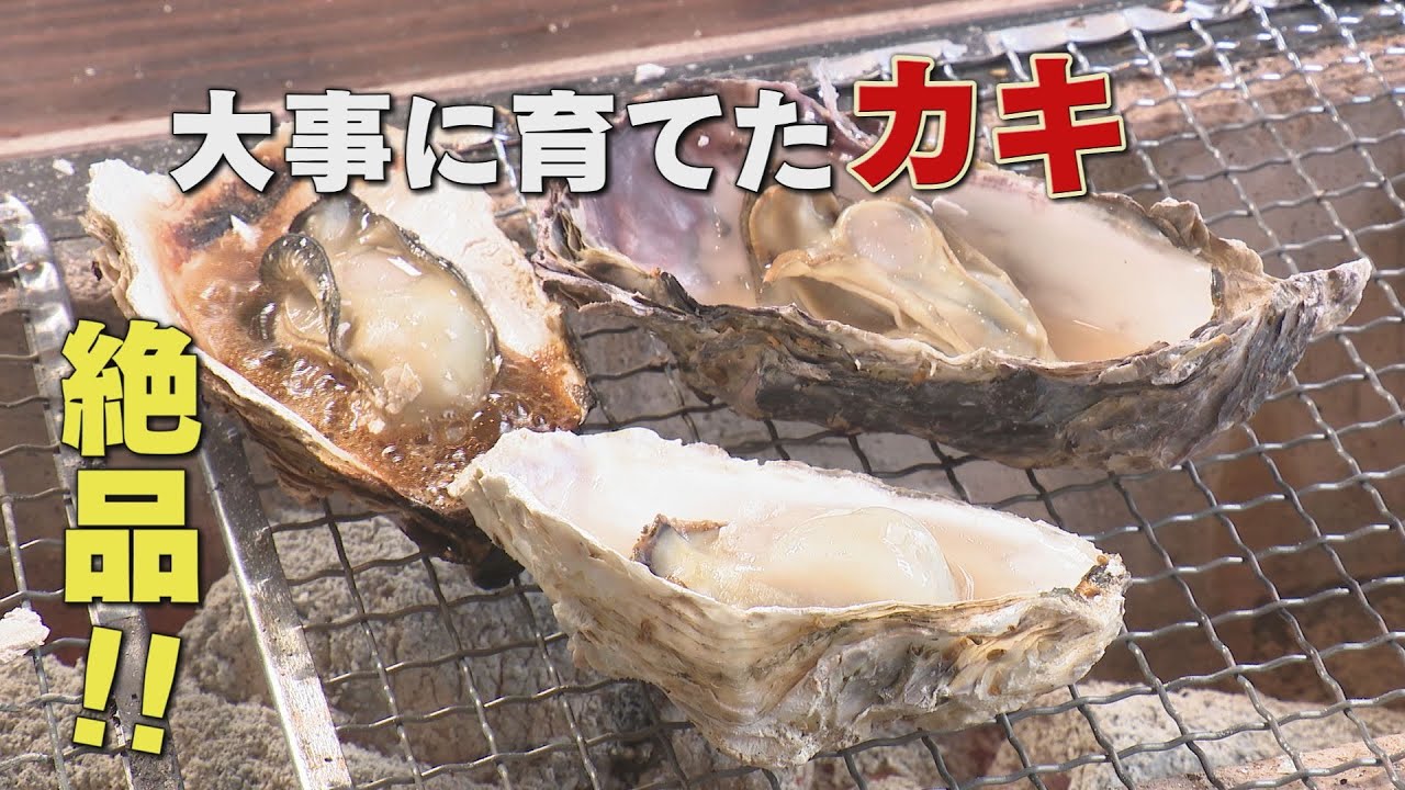採れたて新鮮な能登かきを和洋カキづくしで堪能「あきらの路ゆけば人情街道 File44 七尾市中島町編」（2022年2月21日放送）