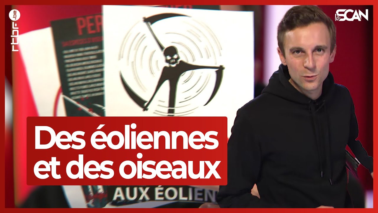 Les éoliennes sont-elles un danger pour les oiseaux ? - Le Scan