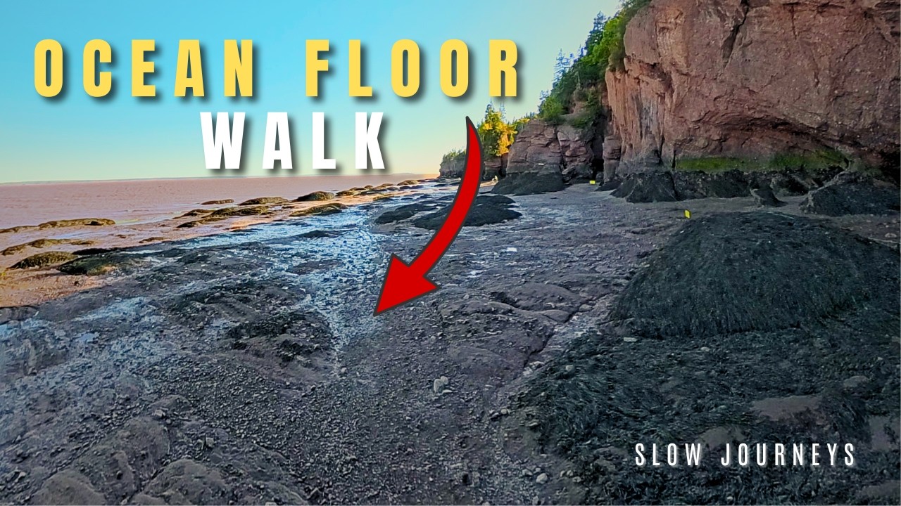 Hopewell Rocks Ocean Floor Walk 4K | Bay of Fundy Relaxing Nature Sounds