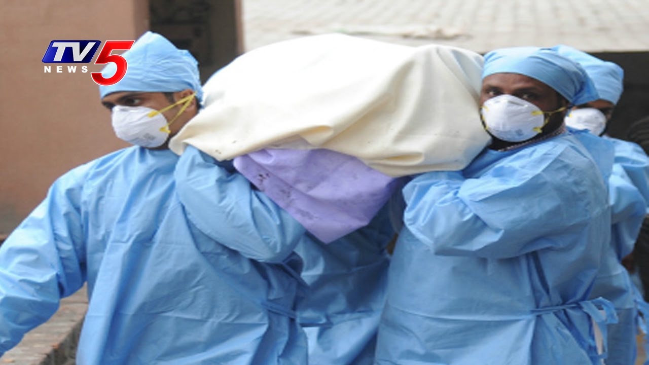 Beware, Swine Flu on The Rise in AP : TV5 News