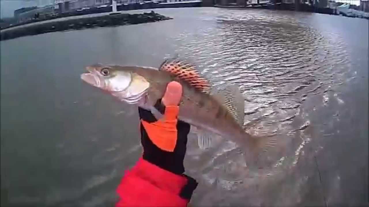 SAVAGE GEAR 3D SOFTBLEAK REALTAIL DROPSHOT