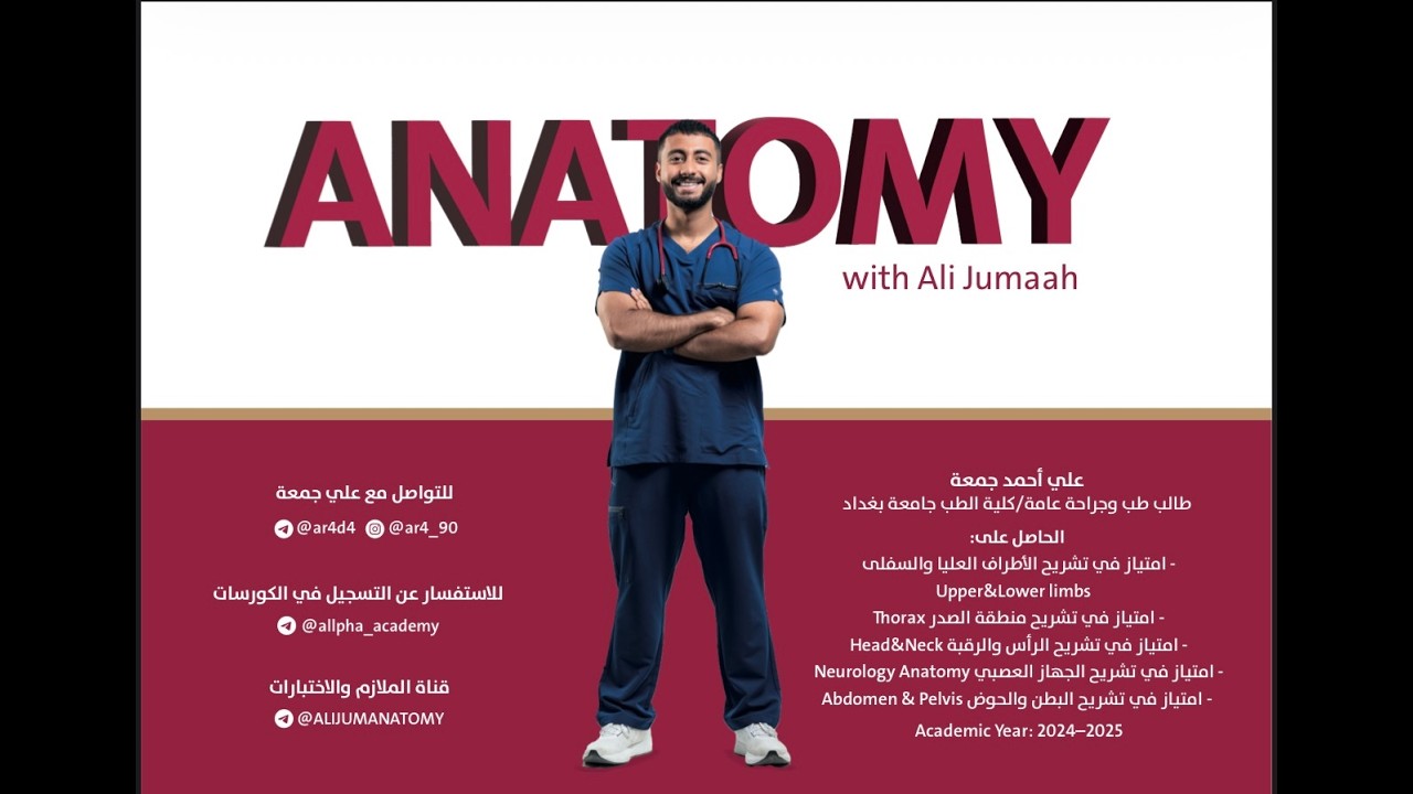 Introduction to Lower Limbs Anatomy l مقدمة عن تشريح الاطراف السفلية مع علي جمعة