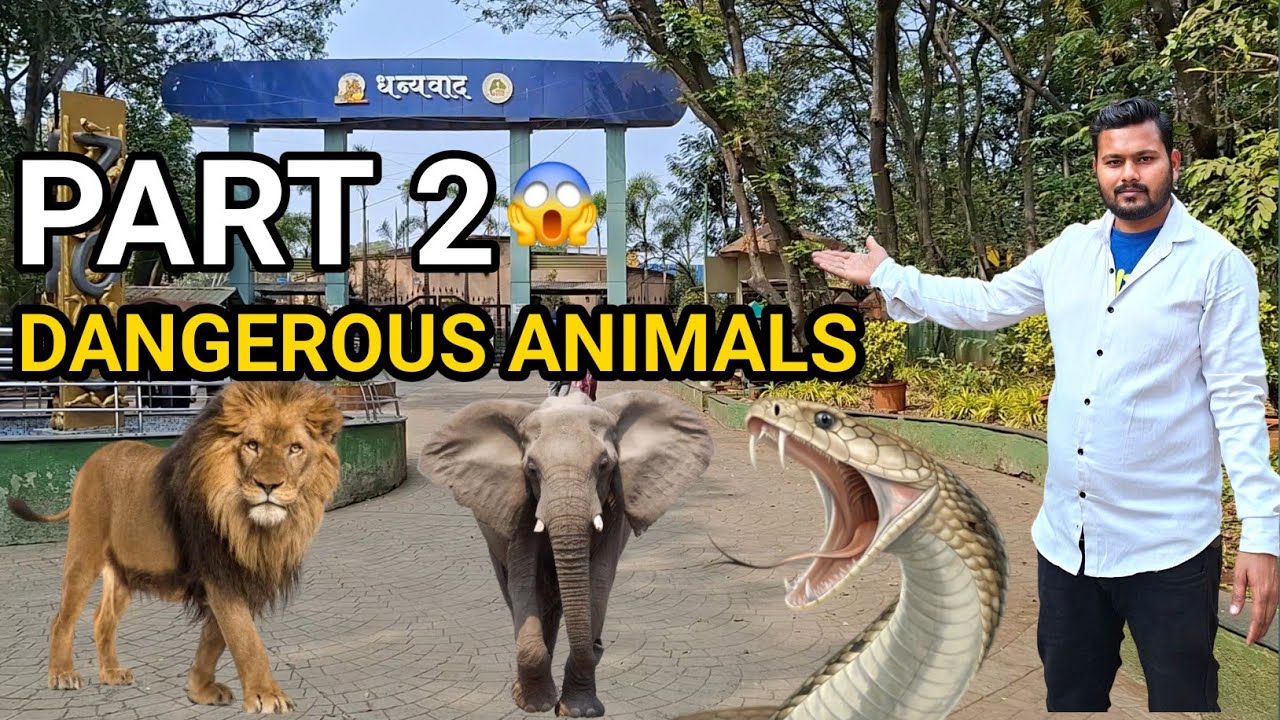  Pune Zoo Part 2 😱 | Dangerous Animals Close View – Snake, Lion, Elephant