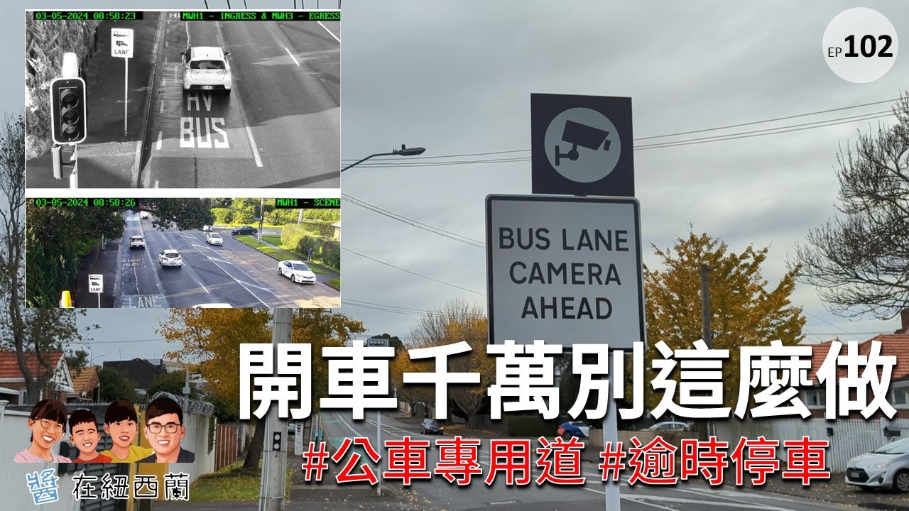 奧克蘭開車千萬別這麼做 | 紐西蘭生活大小事 #罰單 #公車專用道 #逾時停車
