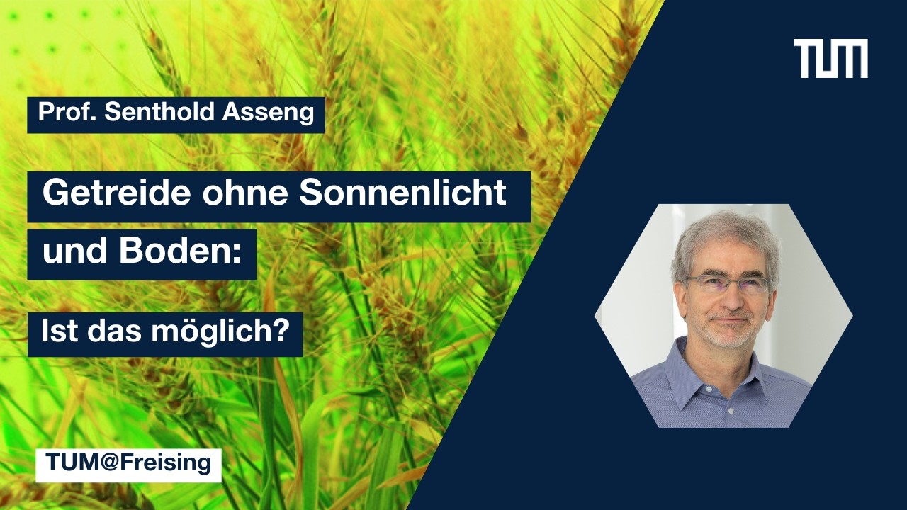 TUM@Freising: Getreide ohne Sonnenlicht und Boden – ist das möglich?