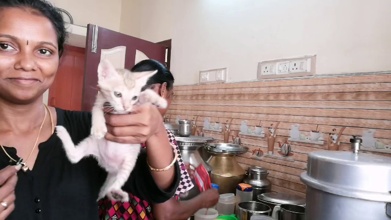 சின்ன மாமியார் செய்த மீன் குழம்பு /puthukottai subscribers meets