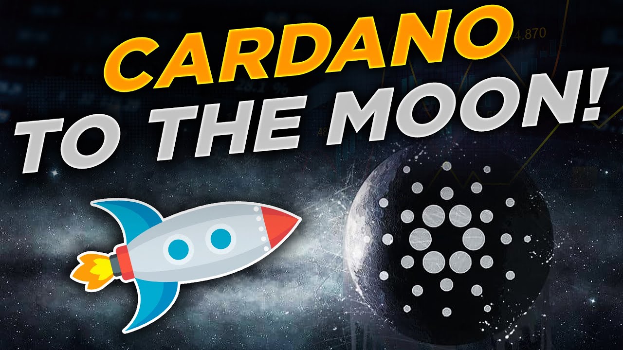 CARDANO RICH LIST HOW MUCH ADA IS ENOUGH ADA HANDLE REVIEW
