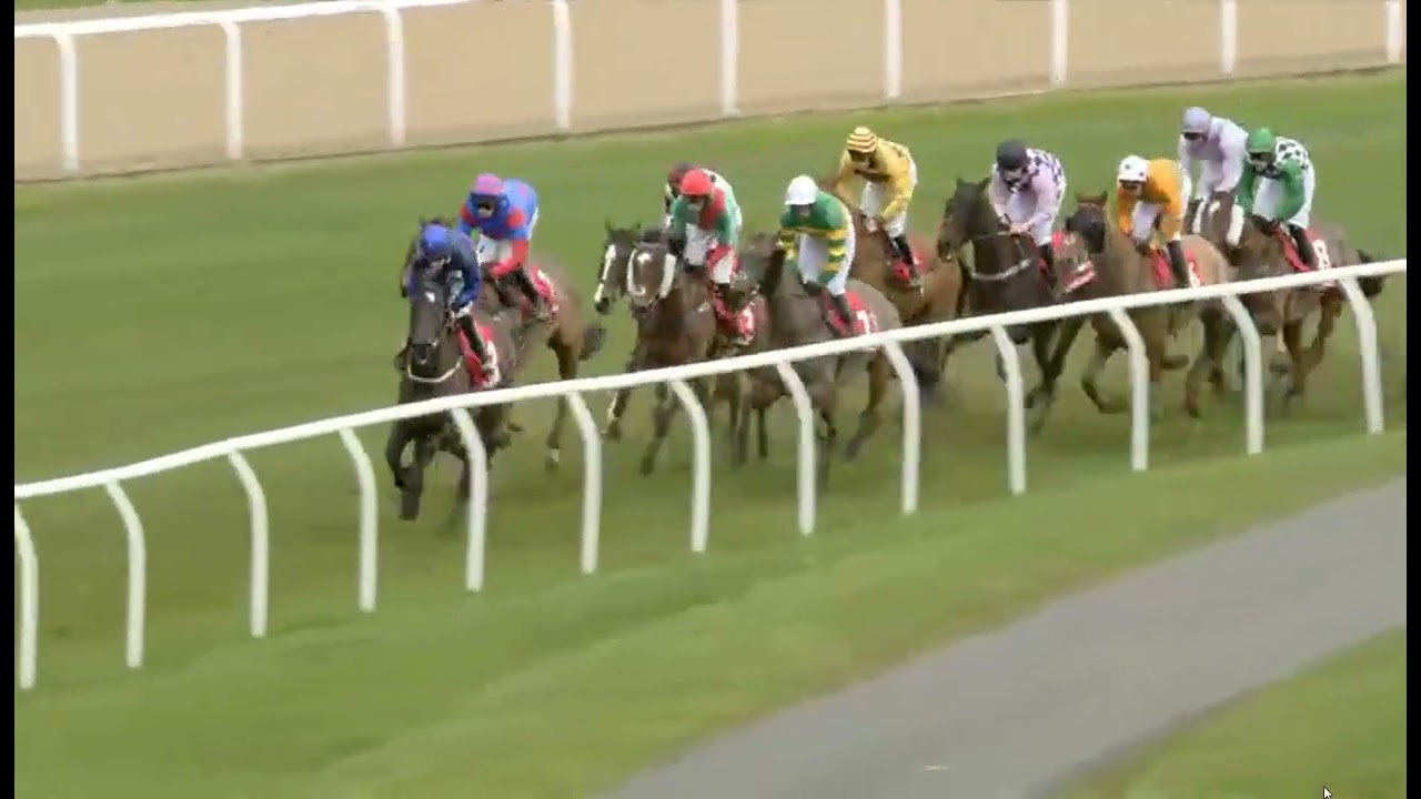 RACE 4   NEWCASTLE   UK  21 FEB 2026
