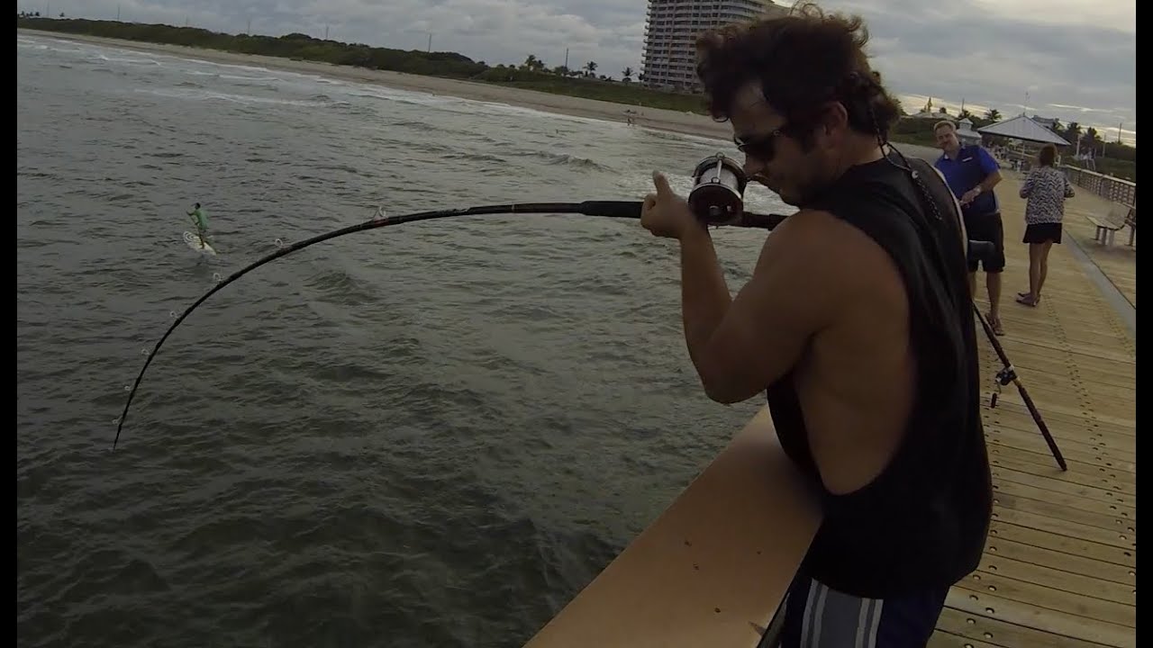 Juno Pier Snook Fishing- Raw Footage!