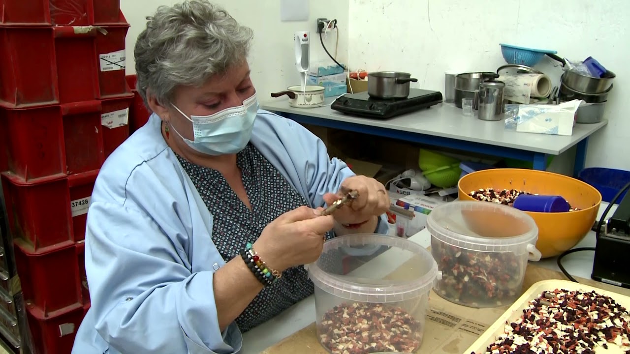 Reportage – Association Pour le Personnes handicapées du Perche