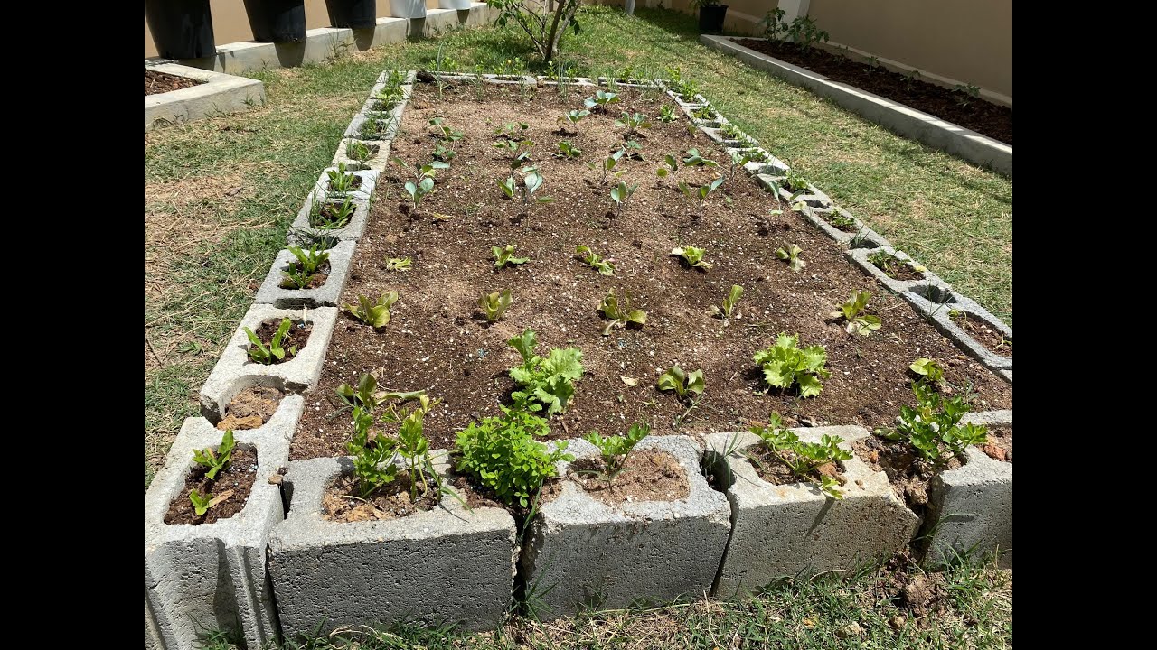 Growing at Home Part 2 - Grow Boxes