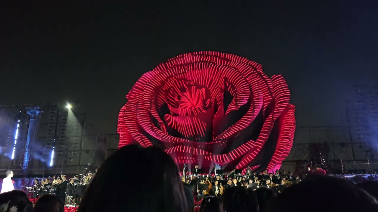 [FAN CAM] Một m&igrave;nh một sớm ban mai - HAT - Sketch a Rose concert