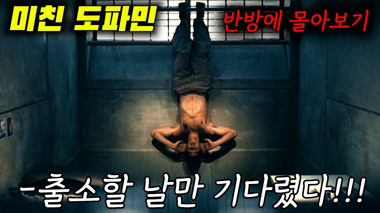 💥도파민💥이 부족한 날엔 