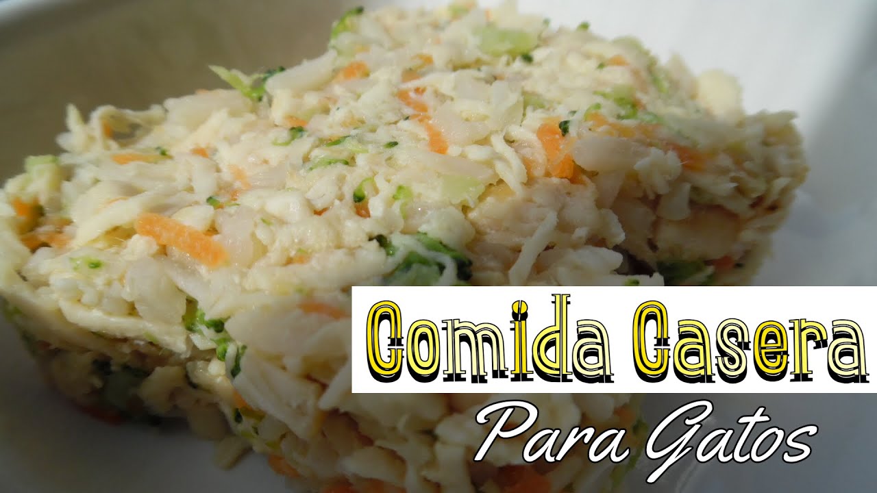 Receta de comida casera para gatos