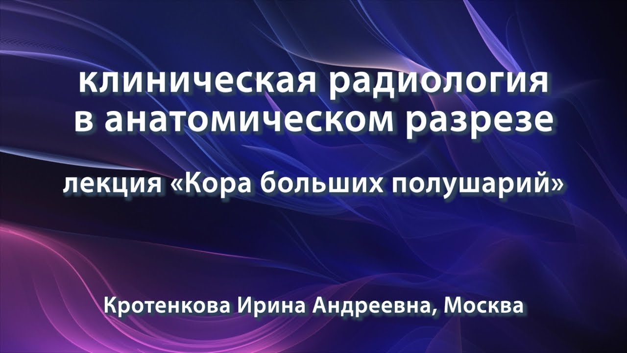 Кротенкова И.А. – Кора больших полушарий