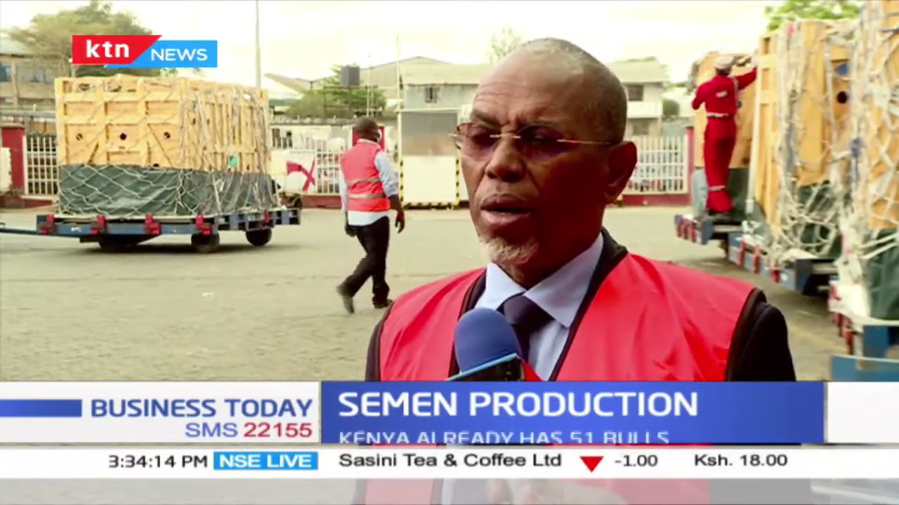 Semen production  ADC imports 19 mature bulls from South Africa to boost semen production