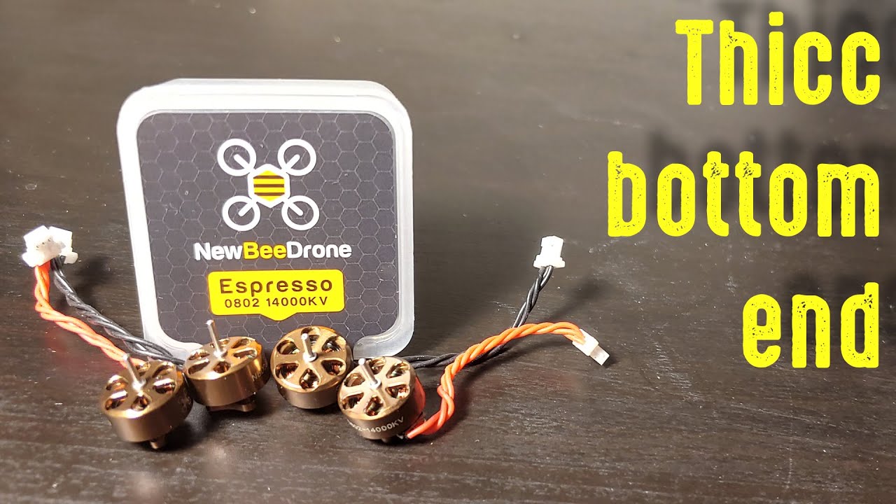 OG's Thoughts and First Rip On The NewBeeDrone Espresso 0802 14,000kv Motors