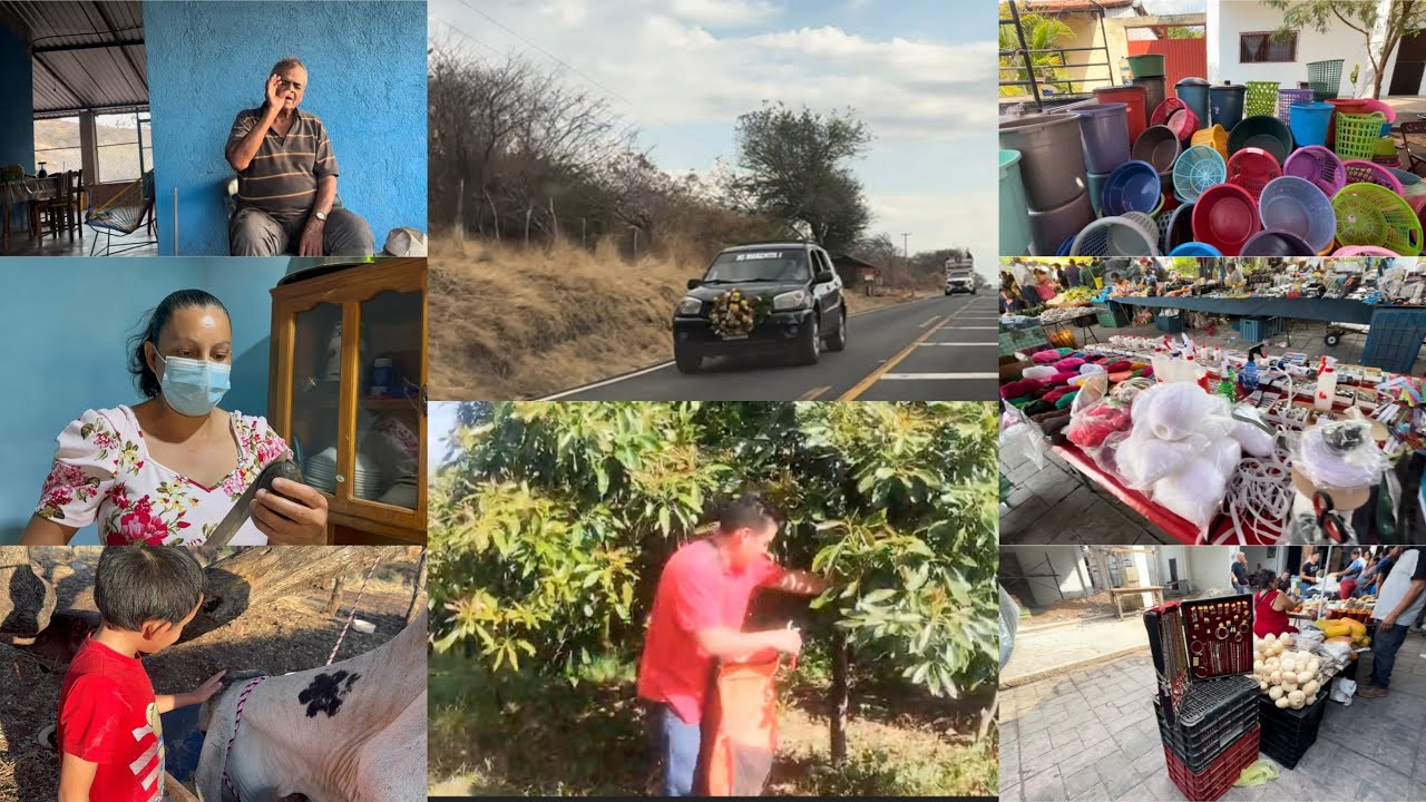 Haciendo compras 🛍️//nos muestran el corte de aguacate 🥑//viene de visita, el tío mando