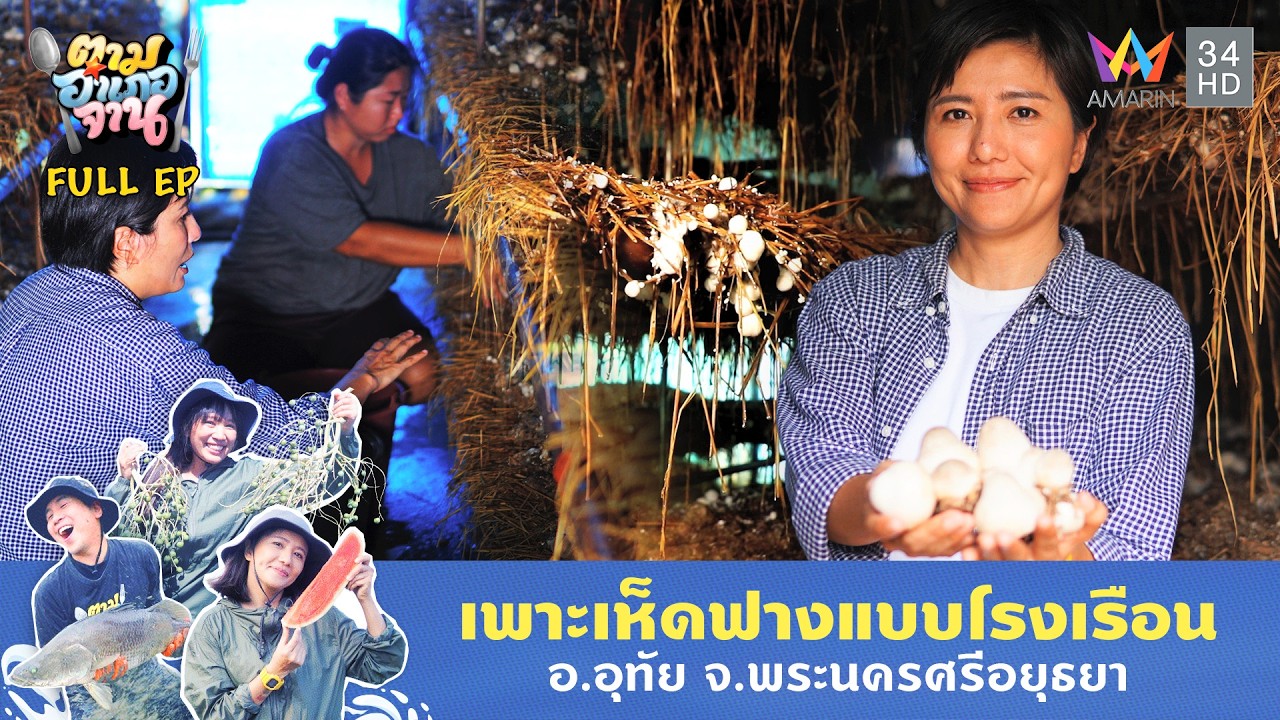เห็ดฟาง อ.อุทัย จ.พระนครศรีอยุธยา | ตามอำเภอจาน | 2 ก.ย. 68 Full EP