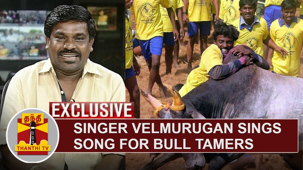 EXCLUSIVE | Playback Singer Velmurugan sings song for Bull Tamers | Thanthi TV