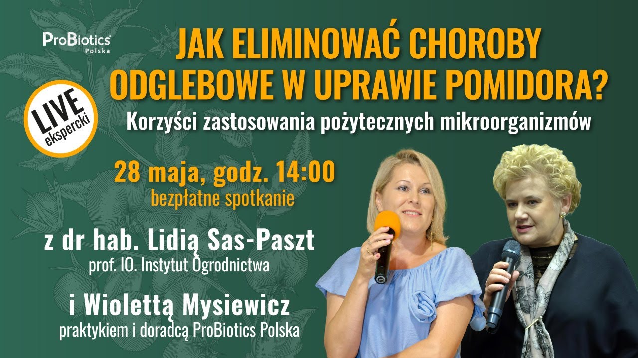 Jak eliminować choroby odglebowe w uprawie pomidora? Korzyści zastosowania probiotechnologii