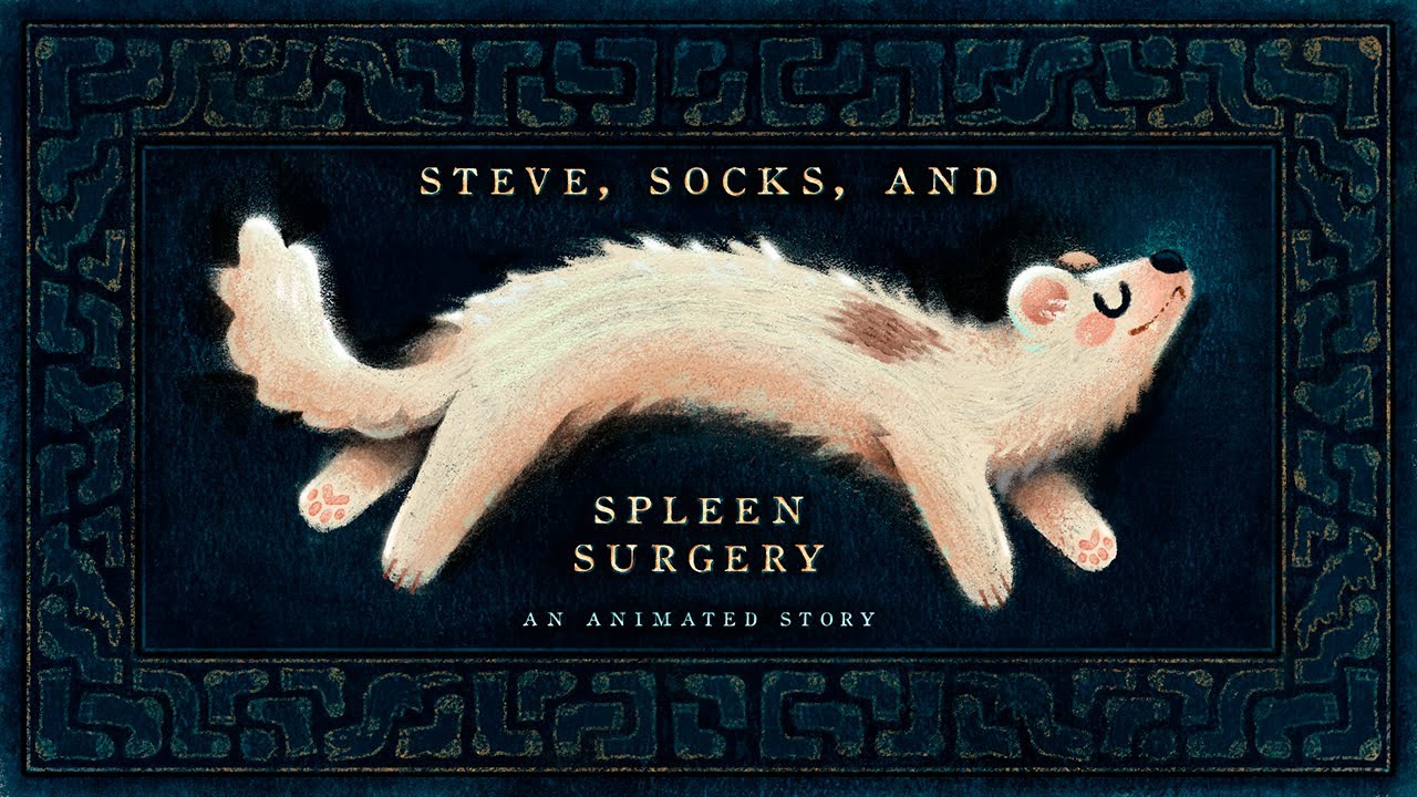 Steve, Socks, and Spleen Surgery - An Animated Story