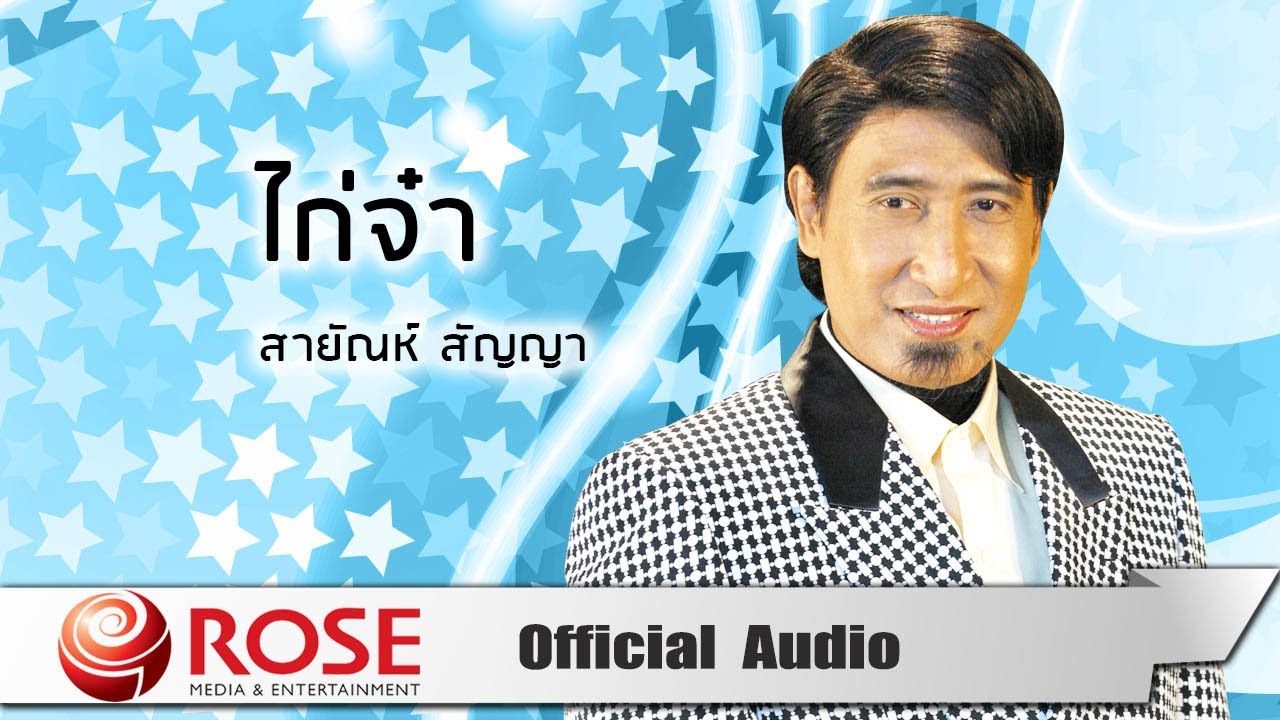 ไก่จ๋า - สายัณห์ สัญญา (Official Audio)