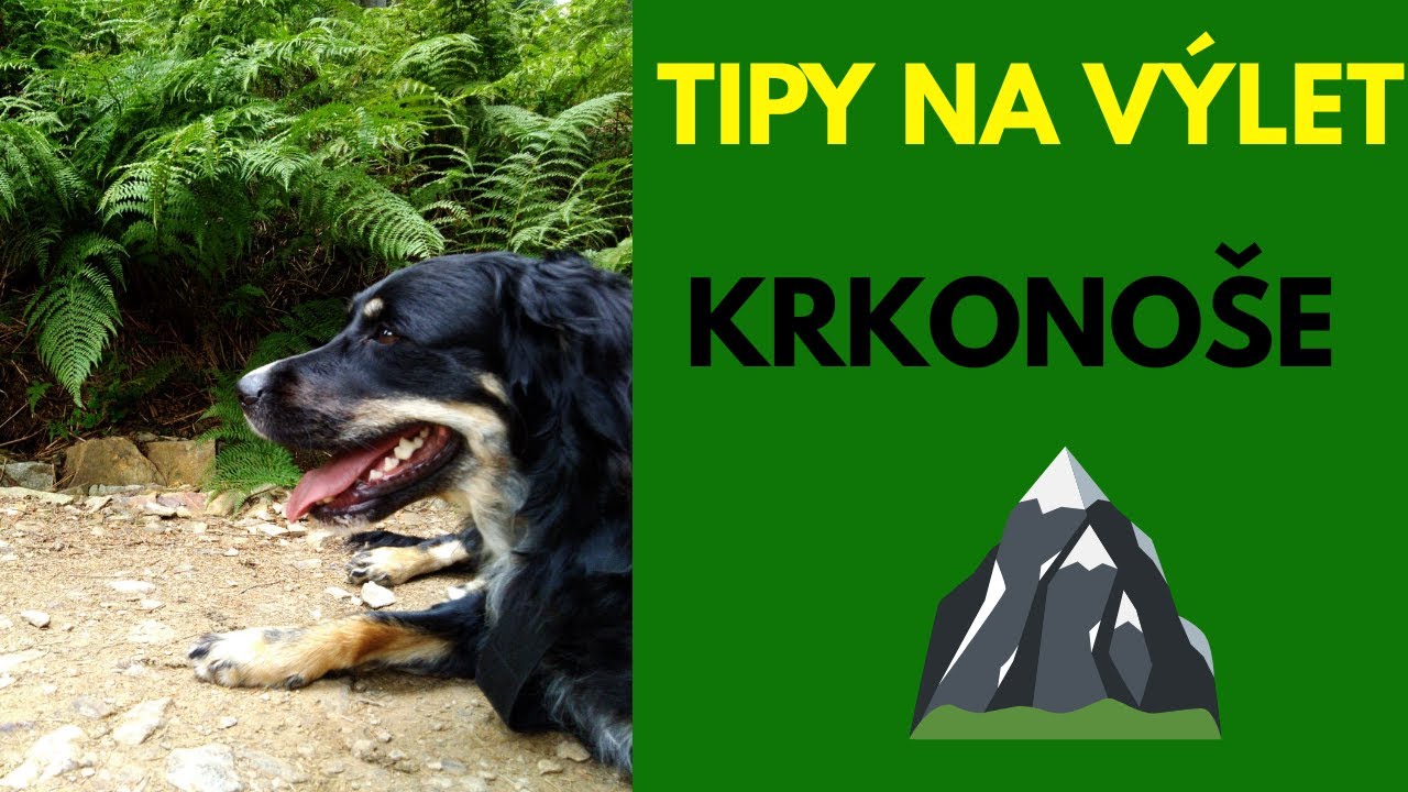 Krkonoše - tipy na výlet