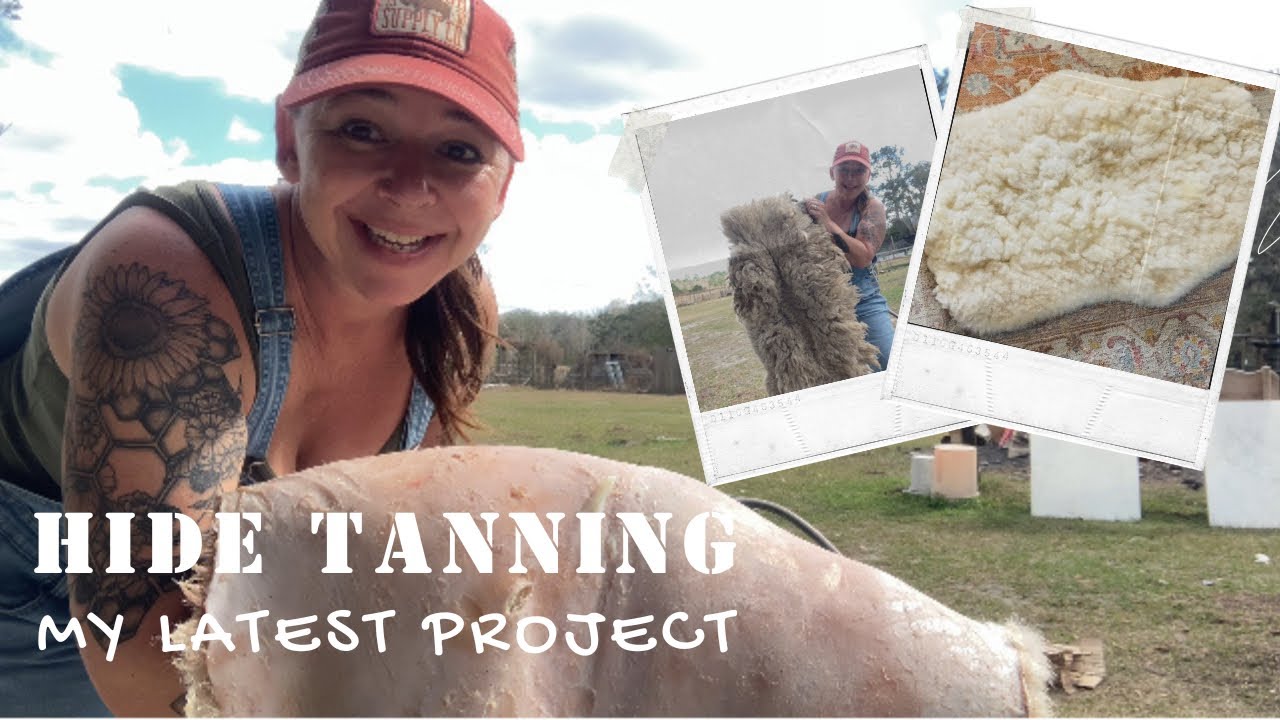 Hide Tanning on the Homestead: How to Tan a Hide