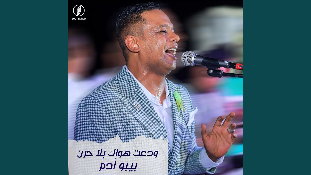 ودعت هواك بلا حزن