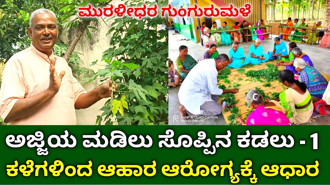 ಅಜ್ಜಿಯ ಮಡಿಲು ಸೊಪ್ಪಿನ ಕಡಲು - 1 | Wild Edible Plants In Kannada | Food From Weeds Is Good For Health