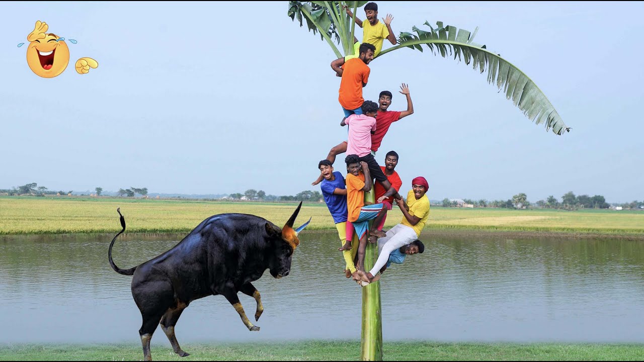 Top New Comedy Video Amazing Funny Video 😂 Try To Not Laugh Episode 63 by Maha Funny Factory