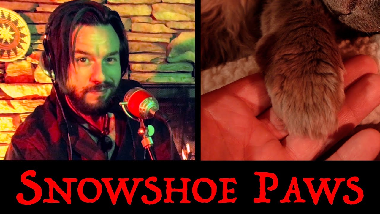 Snowshoe Paws, a Native American Flute Instrumental by Hunter Ackerman
