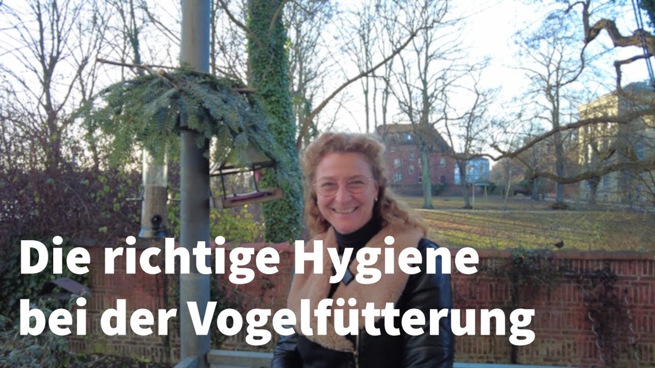 Vögel sauber füttern | Vogelgarten Gmbh