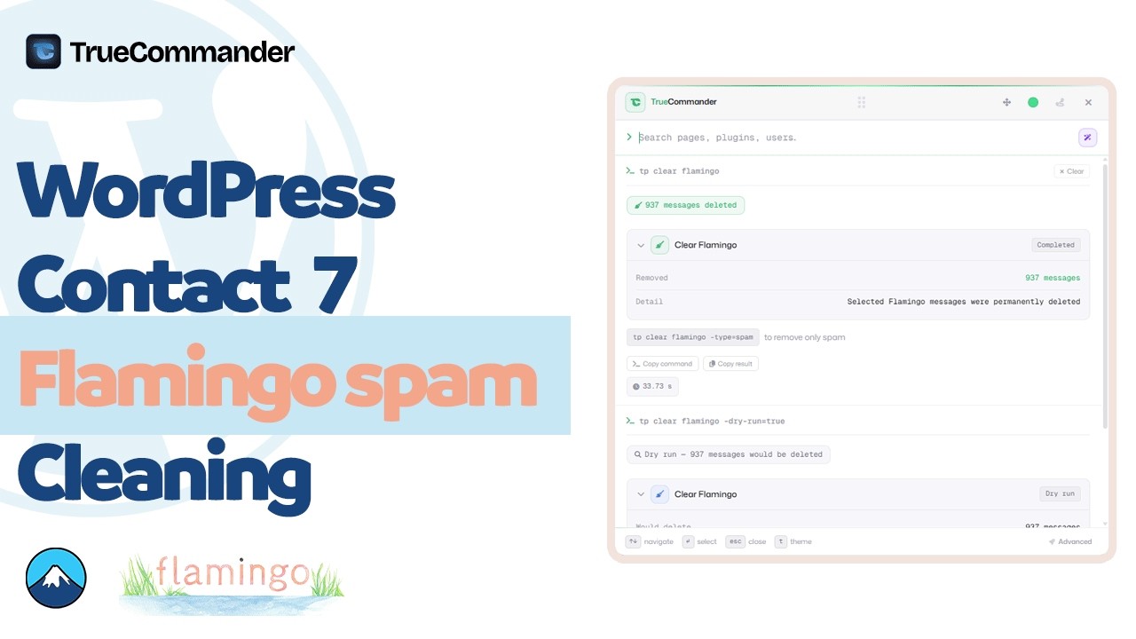 Delete Contact 7 Flamingo Spam Messages Automatically in WordPress