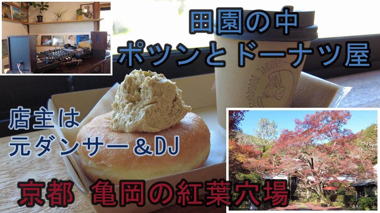 【京都 亀岡 神蔵寺 紅葉（2024年11月20日撮影）】Groove Doughnuts グルーヴドーナツ　ピスタチオクリームのドーナツ