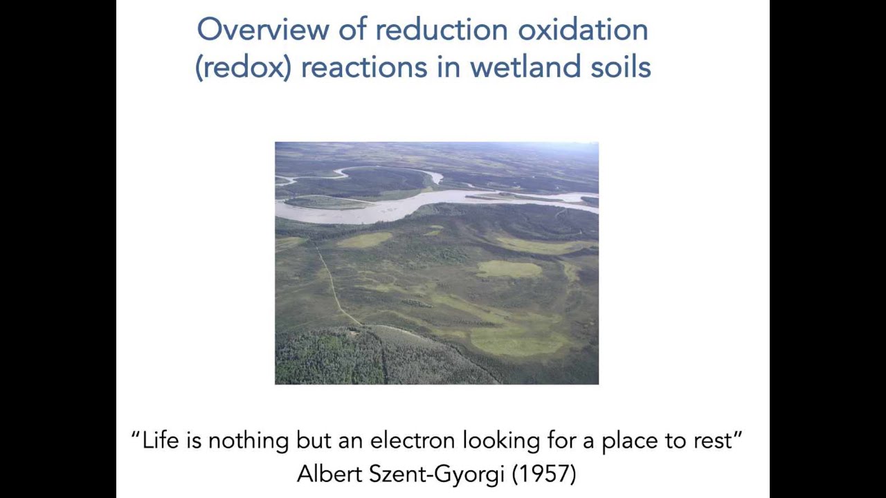 Overview of wetland soil redox