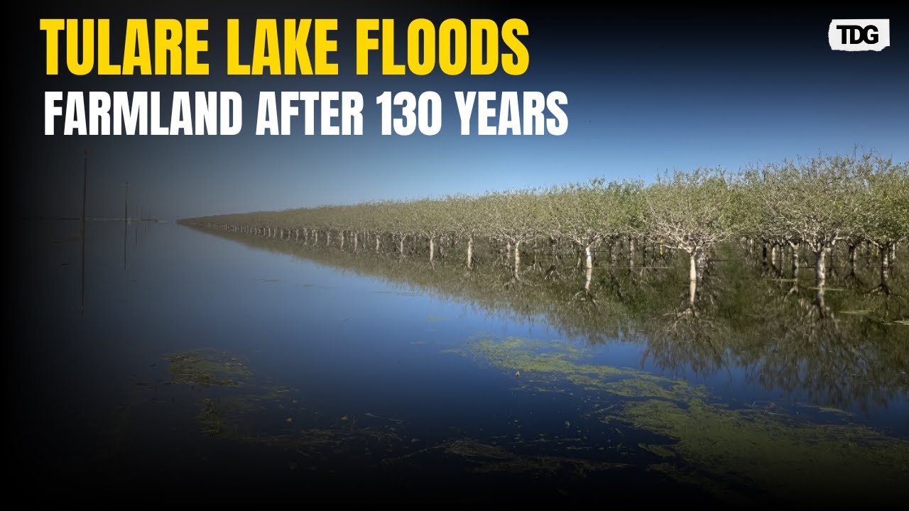 Tulare Lake Returns After 130 Years, Submerging 94,000 Acres of Farmland