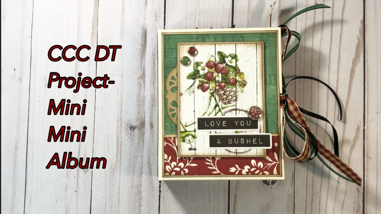Mini mini Album | CCC DT project share | Simple Stories Simple Vintage Berry Fields