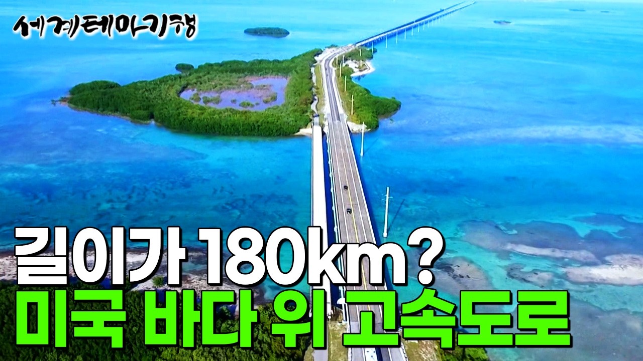 40개의 섬과 연결된 미국의 특별한 고속도로ㅣ15일 동안 던져놓은 통발에 걸려든 미국 플로리다 대표 음식?ㅣ세계테마기행│#세테깅