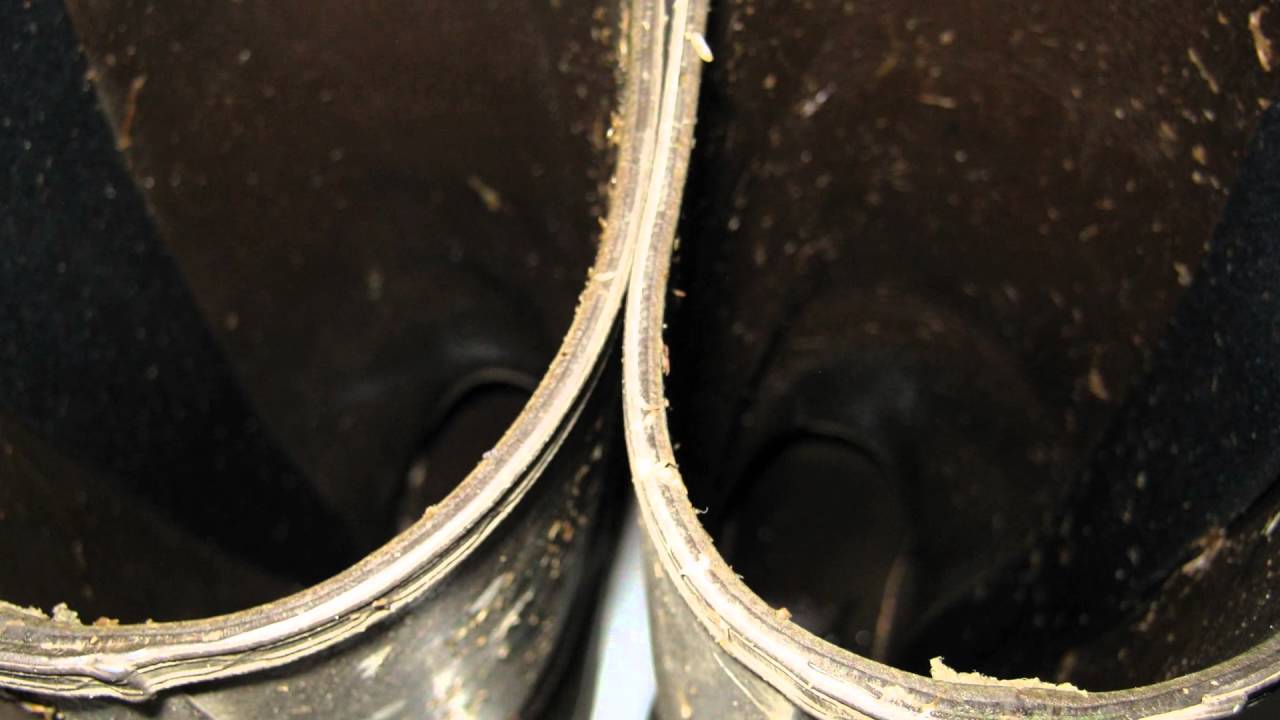 Aigle leather lined wellies Hunters Gates & dirty wellies galore Milfs love mud fun !